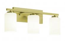 AFX Lighting, Inc. LEOV2209MBLB - Leo 22&#39;&#39; Med Base Vanity,120V,LB