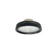 Nora NLCBC-469TIR45B - 45° TIR Optic with Black Ring for 4&#34; Cobalt Adjustable
