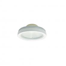 Nora NLCBC-469TIR45MPW - 45° TIR Optic with Matte Powder White Ring for 4&#34; Cobalt Adjustable