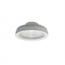 Nora NLCBC-469TIR45WW - 45° TIR Optic with White Ring for 4&#34; Cobalt Adjustable