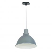 Nora NRLM-10C2030GMWLE4 - 10&#34; RLM LED Shade, 2000lm, 3000K, Gun Metal/White, 120V 0-10V/Triac/ELV & 277V 0-10V Dimming