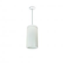 Nora NYLD2-6P10130WWW4 - 6&#34; Cobalt Pendant Mount Cylinder, White, 1000L, 3000K, White/White Reflector, 120V