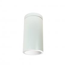 Nora NYLI-6SI1WWW - 6&#34; Cylinder, White, Surface Mount, Incandescent, Refl., White