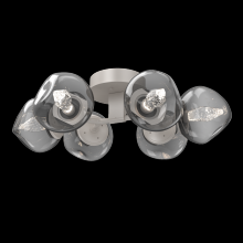 Hammerton CLB0095-01-BS-GS-L1 - Luna Flush Mount - 6pc