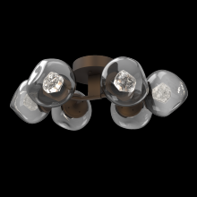Hammerton CLB0095-01-FB-ZS-L1 - Luna Flush Mount - 6pc