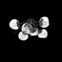 Hammerton CLB0095-02-MB-ZC-L1 - Luna Flush Starburst
