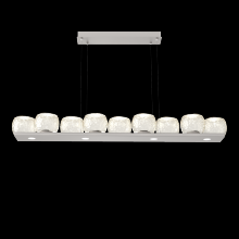 Hammerton PLB0091-0C-BS-A-CA1-L1 - Vessel Linear - 59-Inch