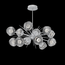 Hammerton PLB0095-0D-CS-ZS-001-L1 - Luna Oval Starburst