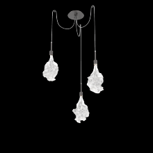 Hammerton SCB0059-03-GP-BC-C01-L3 - Blossom Round 3pc Swag Multi-Pendant