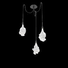 Hammerton SCB0059-03-MB-BC-C01-L3 - Blossom Round 3pc Swag Multi-Pendant