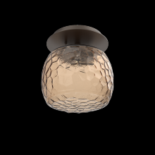 Hammerton SMB0091-01-FB-B-L1 - Single Glass Sconce & Flush Mount - Vessel