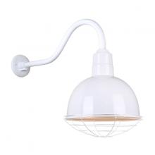 Hi-Lite MFG Co. H-QSN16110-SA-93/QSNHL-A-93/QSNWGR-10-93 - 10&#34; Gooseneck Light Deep Bowl Shade, QSNHL-A Arm, Wire Guard Accessory