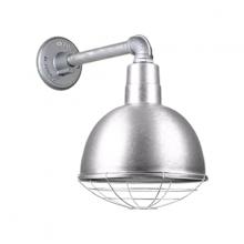 Hi-Lite MFG Co. H-QSN16112-SA-96/QSNB-44-96/QSNWGR-12-96 - 12&#34; Gooseneck Light Deep Bowl Shade, QSNB-44 Arm, Wire Guard Accessory