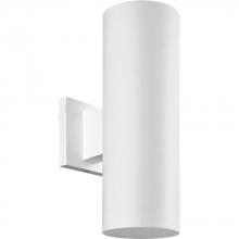 Progress P5713-30 - 5&#34; Non-Metallic Wall Mount Up/ Down Cylinder