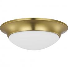 Progress P350146-012 - One-Light 11-1/2&#34; Etched Glass Flush Mount