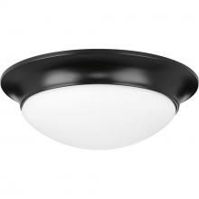 Progress P350147-031 - Two-Light 14&#34; Etched Glass Flush Mount