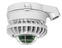 RAB Lighting HAZXLED26FR-G - HAZLED 26W COOL LED CEILING RED FROSTED GLOBE WIRE GD GRAY