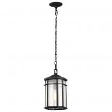 Satco 60/5759 - RAIDEN 1LT OUTDOOR HANGING