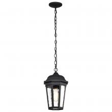 Satco 60/5944 - EAST RIVER 1LT OUTDOOR HANGING