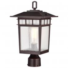 Satco 60/5952 - COVE NECK 1LT OUTDOOR LG POST