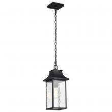 Satco 60/5996 - AUSTEN 1LT OUTDOOR HANGING