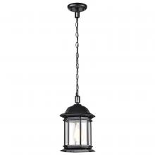 Satco 60/6117 - HOPKINS 1LT OUTDOOR HANGING