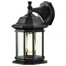 Satco 60/6118 - HOPKINS 1LT OUTDOOR LG WALL