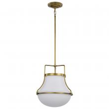 Satco 60/7863 - VALDORA 1 LIGHT 14 PENDANT