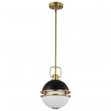 Satco 60/7876 - EVERTON 1 LIGHT 10 PENDANT