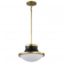 Satco 60/7907 - LAFAYETTE 1 LIGHT 14 PENDANT