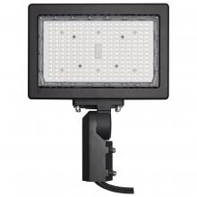 Satco 65/619R1 - 150W LED FLOOD LIGHT