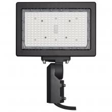 Satco 65/620R1 - 150W LED FLOOD LIGHT