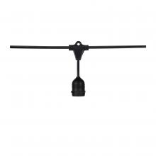 Satco S8039 - 24FT/SL/E26/BL/120V