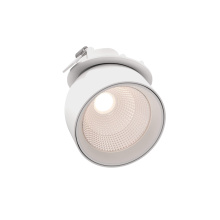 Dals GSP3-CC-WH - 3in gimbal spot light, 5CCT