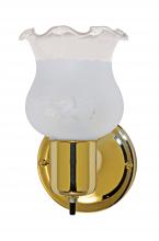 Nuvo 60/6097 - 1 Light - 5&#34; - Vanity - w/Frosted Grape Shade & On/Off Switch; Color retail packaging