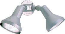 Nuvo SF77/703 - 2 Light - 15&#34; Flood Light PAR38 with Adjustable Swivel - Gray Finish