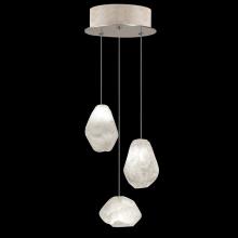 Fine Art Handcrafted Lighting 852340-23LD - Natural Inspirations 9&#34;W Round Pendant